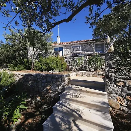 House Lemon Tree Holiday home